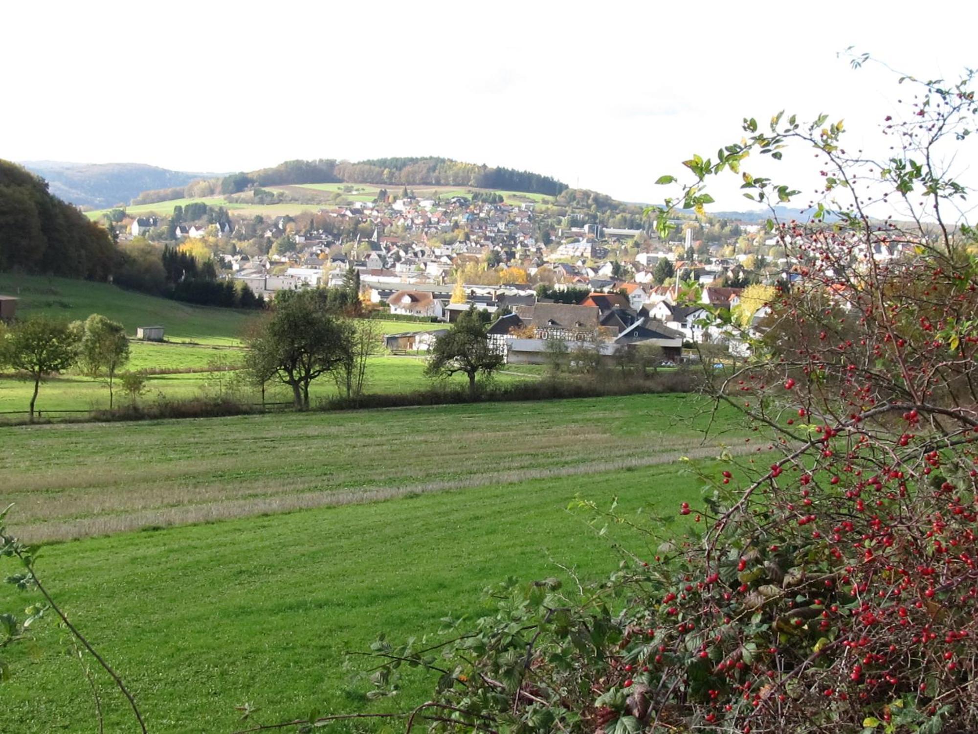 Zum Treppche Hotel Garni Gladenbach Eksteriør billede